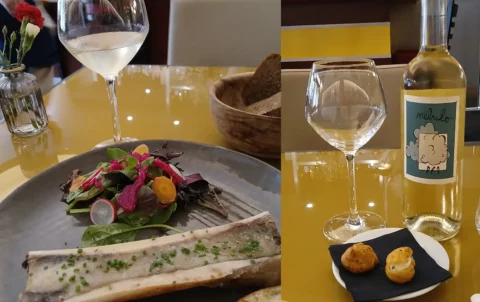 Nébulo, un vin blanc naturel et élégant du Domaine de Colline de l'Hirondelle dans le languedoc.