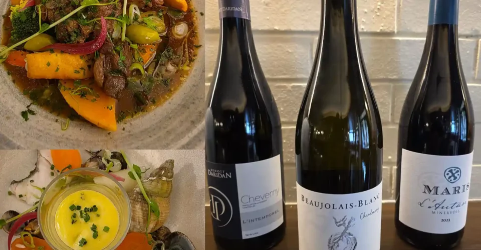 Venez découvrir trois pépites à déguster sans modération : un élégant Cheverny bio, un Minervois biodynamique et un Beaujolais blanc de caractère.