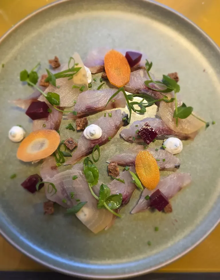 Gravelax de Mulet et pickles de betteraves