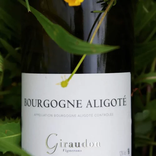vin bourgogne aligoté Pour accompagner votre repas, découvrez notre nouveau vin à la carte : l'AOP Bourgogne Aligoté « Domaine Giraudon » 2023